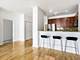 100 E 14th Unit 2202, Chicago, IL 60605