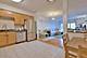8747 W Bryn Mawr Unit 209, Chicago, IL 60631