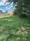 9209 S Harper, Chicago, IL 60619