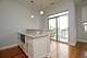 1609 W Warren Unit 407, Chicago, IL 60612