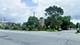 3942 W Gladys, Chicago, IL 60624