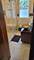 10156 S Hoyne, Chicago, IL 60643