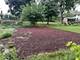 520 Russell, Wheeling, IL 60090