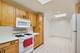 1107 Greenleaf Unit 4G, Wilmette, IL 60091