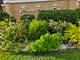 6008 W Dakin, Chicago, IL 60634