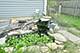 1721 Yasgur, Woodstock, IL 60098