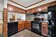 100 White Oak Unit 3, Schaumburg, IL 60195