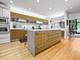 2107 N Dayton, Chicago, IL 60614