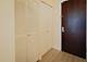 1400 S Michigan Unit 1711, Chicago, IL 60605
