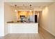 1400 S Michigan Unit 1711, Chicago, IL 60605