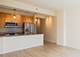 1400 S Michigan Unit 1711, Chicago, IL 60605