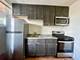 2536 W Thorndale Unit 2, Chicago, IL 60659