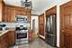 7620 N Olcott, Niles, IL 60714