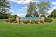 3546 Blue Heron, Grayslake, IL 60030