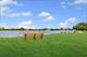 3546 Blue Heron, Grayslake, IL 60030