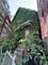 2523 W Augusta, Chicago, IL 60622