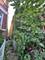 2523 W Augusta, Chicago, IL 60622