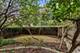 2236 Ridge, Evanston, IL 60201