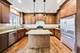 355 W First, Elmhurst, IL 60126