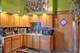 156 S 18th, Maywood, IL 60153