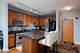 1717 S Prairie Unit 1209, Chicago, IL 60616