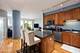1717 S Prairie Unit 1209, Chicago, IL 60616