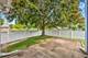 1426 Walnut, Carol Stream, IL 60188