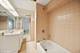 537 S Cuyler, Oak Park, IL 60304