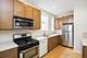 537 S Cuyler, Oak Park, IL 60304