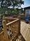 1051 N Springfield, Chicago, IL 60651