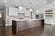 1066 Livingston, Highland Park, IL 60035