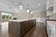1066 Livingston, Highland Park, IL 60035