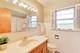 243 55th, Downers Grove, IL 60515