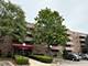 1463 Mercury Unit 115, Schaumburg, IL 60193