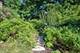 117 Belle, Highland Park, IL 60035