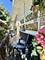 1247 S Mannheim Unit 3, Westchester, IL 60154