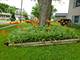 219 E Lincoln, Glendale Heights, IL 60139