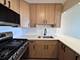 2901 S Michigan Unit 2109, Chicago, IL 60616