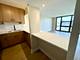 2901 S Michigan Unit 2109, Chicago, IL 60616