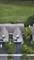 205 Concord, Carol Stream, IL 60188
