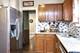 528 Woodlawn, Aurora, IL 60506