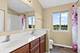 2441 Alan Dale, Yorkville, IL 60560