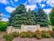 2441 Alan Dale, Yorkville, IL 60560