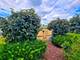 2441 Alan Dale, Yorkville, IL 60560