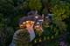 1091 Johnson, Naperville, IL 60540