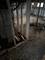 128 W 115th, Chicago, IL 60628