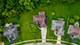 453 Poplar, Yorkville, IL 60560