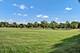 1535 S Douglas, Arlington Heights, IL 60005