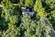 1370 Brown Hills, Rockford, IL 61107