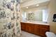 727 Clinton, River Forest, IL 60305